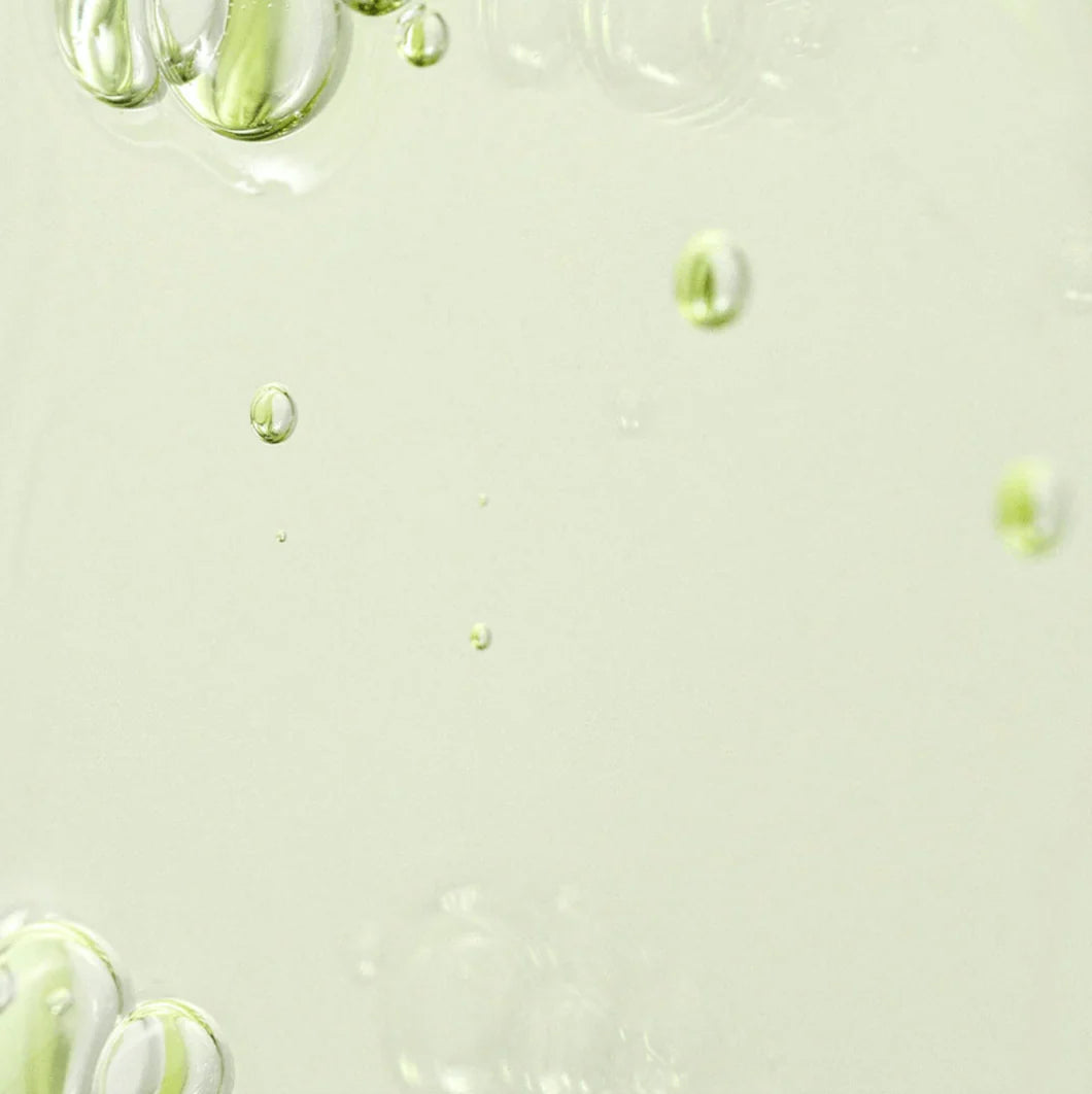 Beauty of Joseon Calming Serum: Green Tea + Panthenol (30ml)